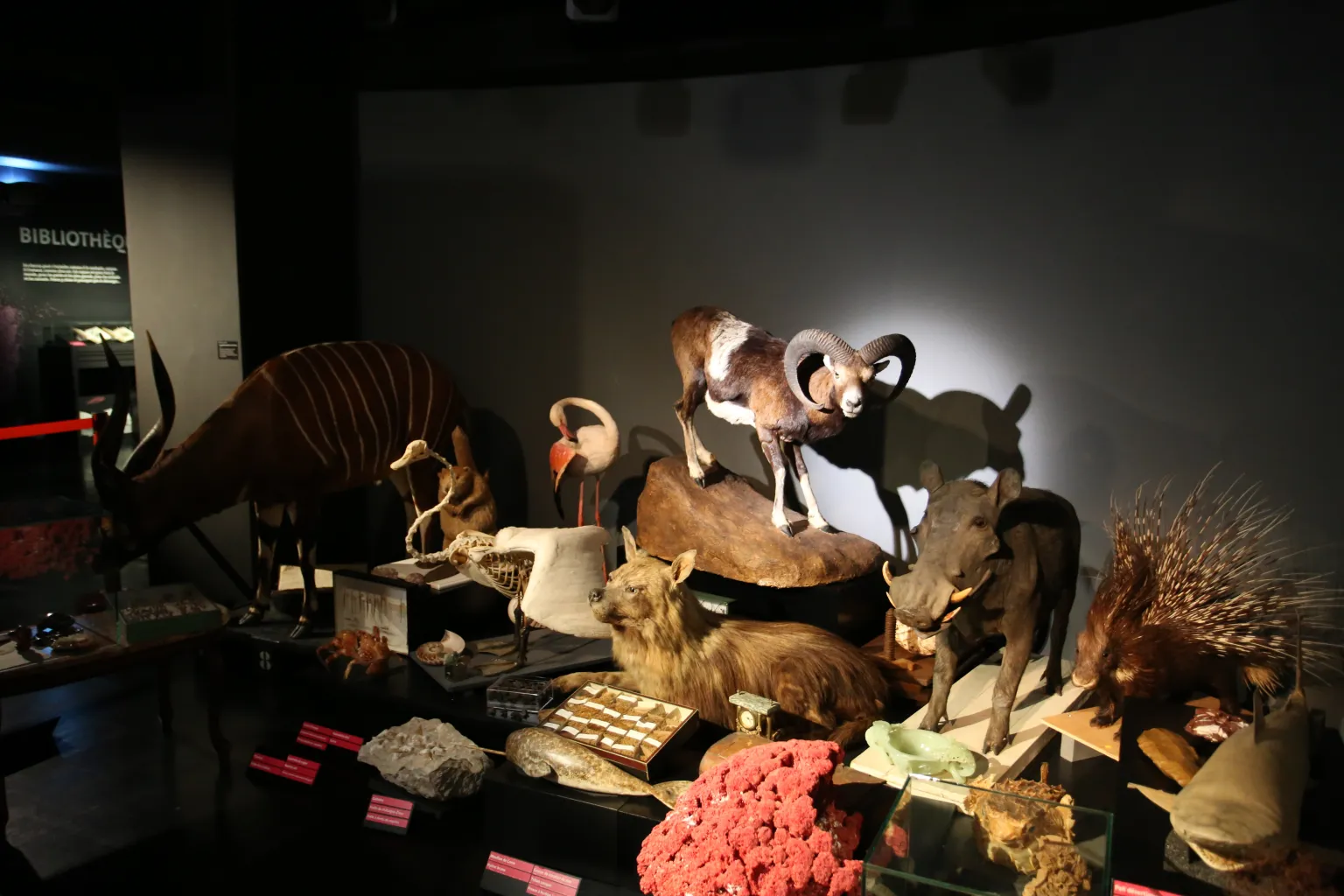 Exposition : Les 200 ans du MOBE